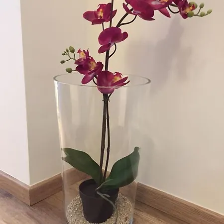 Koeln City Apartments Кёльн