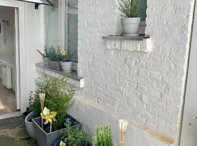 科隆城市公寓 *